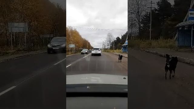 катаемся