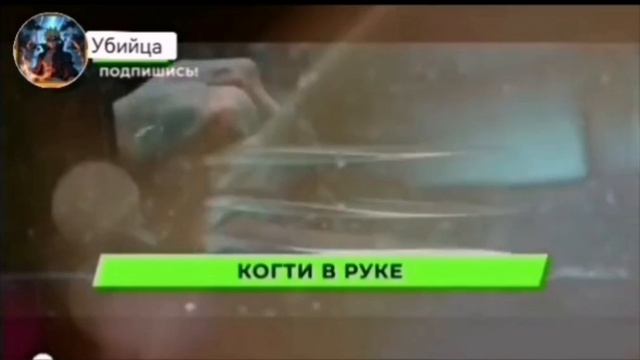 Росомаха