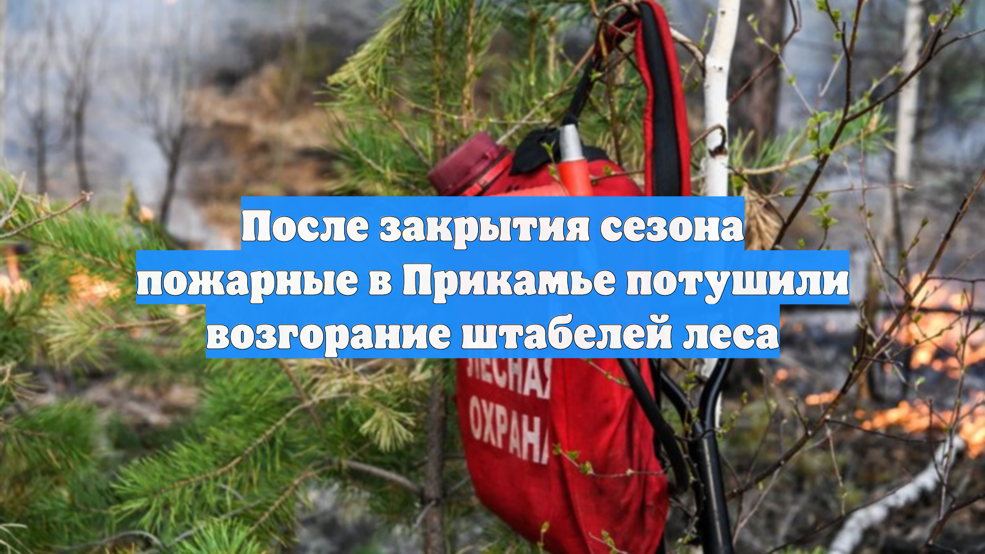 После закрытия сезона пожарные в Прикамье потушили возгорание штабелей леса