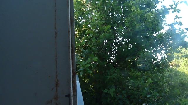 1000185524.ts