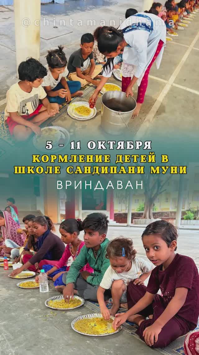 5 - 11 октября. Видеоотчет о кормлении детей