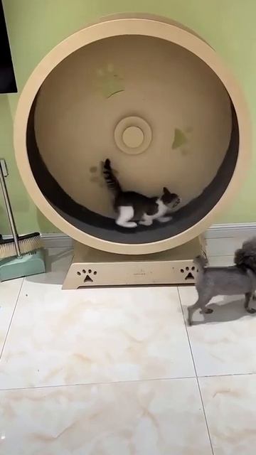1000009495.mp4