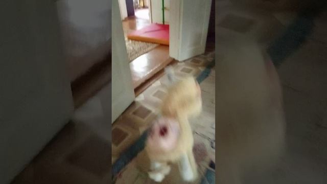Самодельный рыцарь по памяти из Лего деталей
