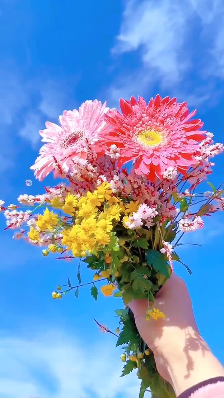 #цветы