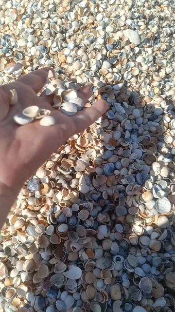 Отдых на Азовском море