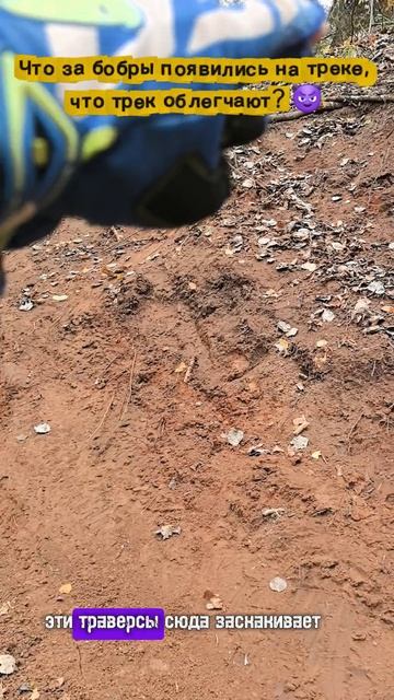 Что за бобры появпоявились на треке, что трек облегчают?