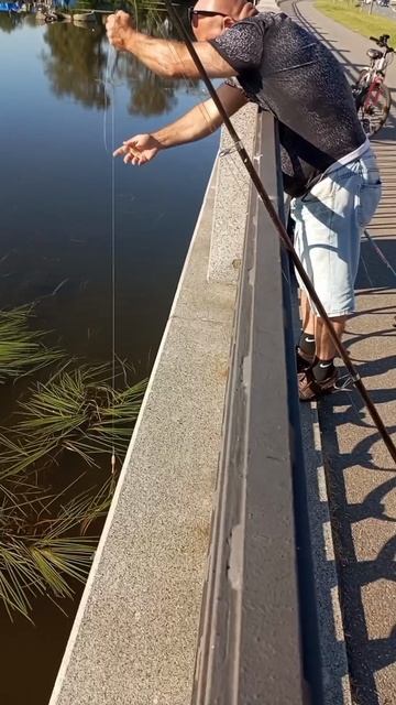 👍Супер лещяга👍