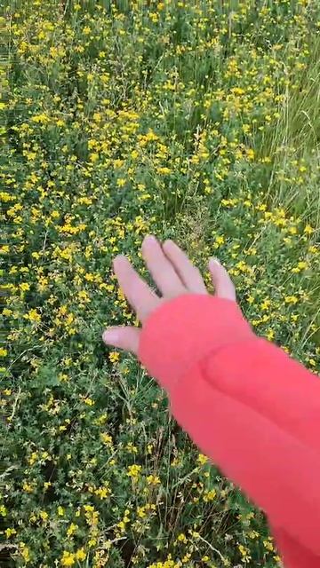 хочется тебя обнять родная земля 💝