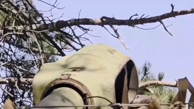 Они умирают за нас