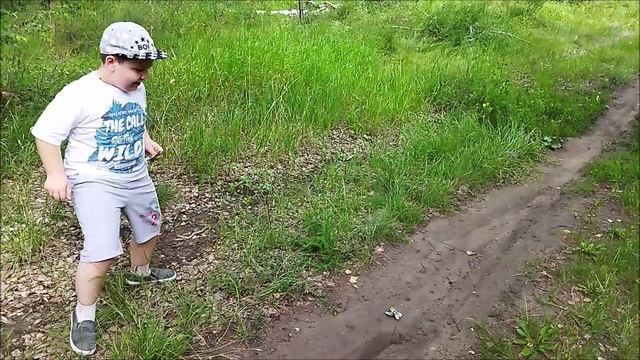 лес
