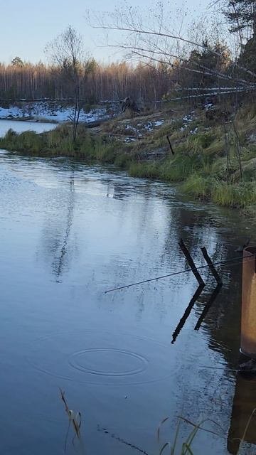 Рыбалка в карьере