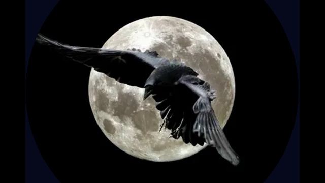 Песня: Запущенный сад.Ремикс.