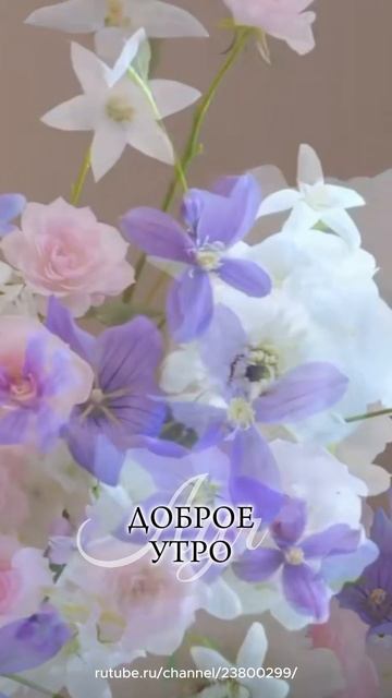 Доброе утро
