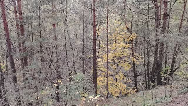 Живи финансово грамотно