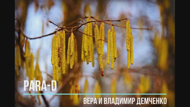 PARA-D    Серёжка ольховая  - Вокальный дуэт - Вера и Владимир Демченко