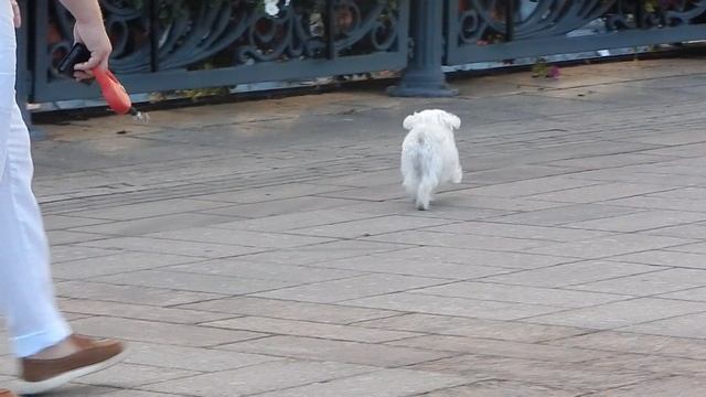 08 09 2025. DSCN8760