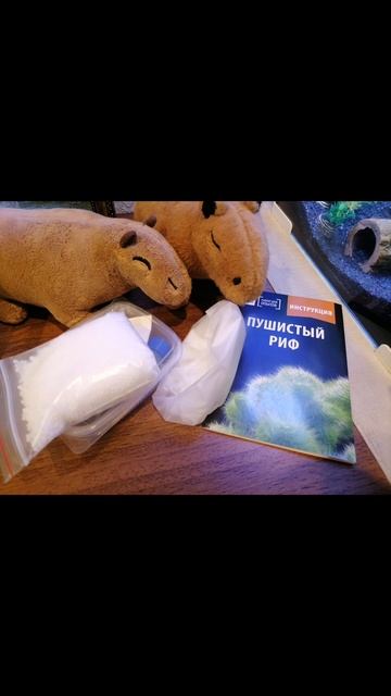 Выращивание кристаллов или как Кексик химию учил