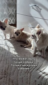 У нас это и есть счастье ❤️