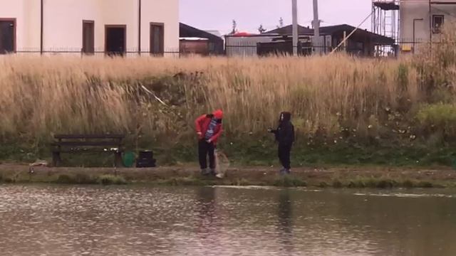 поимка форели на малом водоёме
