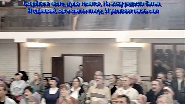 Ты знаешь,  Боже, мое желанье,  общее пение  12.10.2025