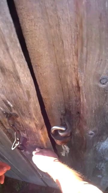 16.10 выйдет новое видео