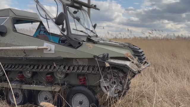 ЛАЙКА 'Шторм'