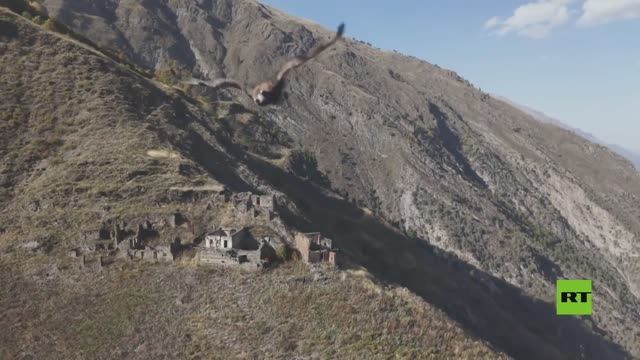 شاهد.. نسر يهاجم طائرة مسيرة أثناء التصوير في جبال داغستان
