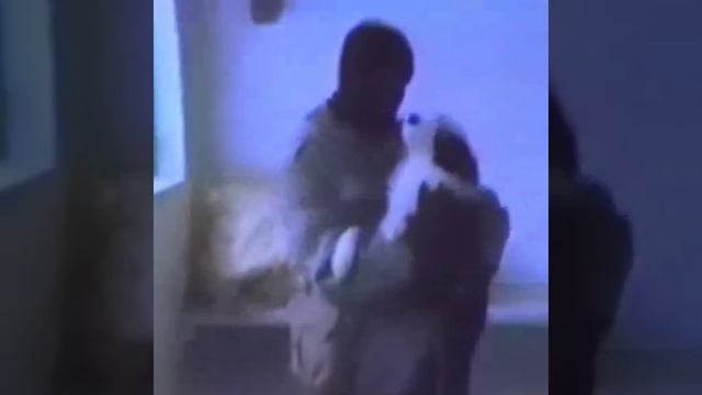 спасение щенят
