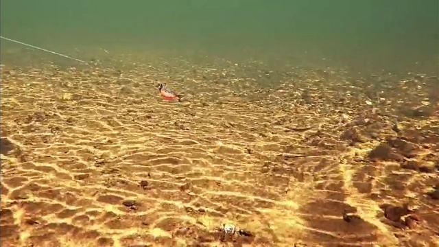SVID_20251012_204144_1.mp4