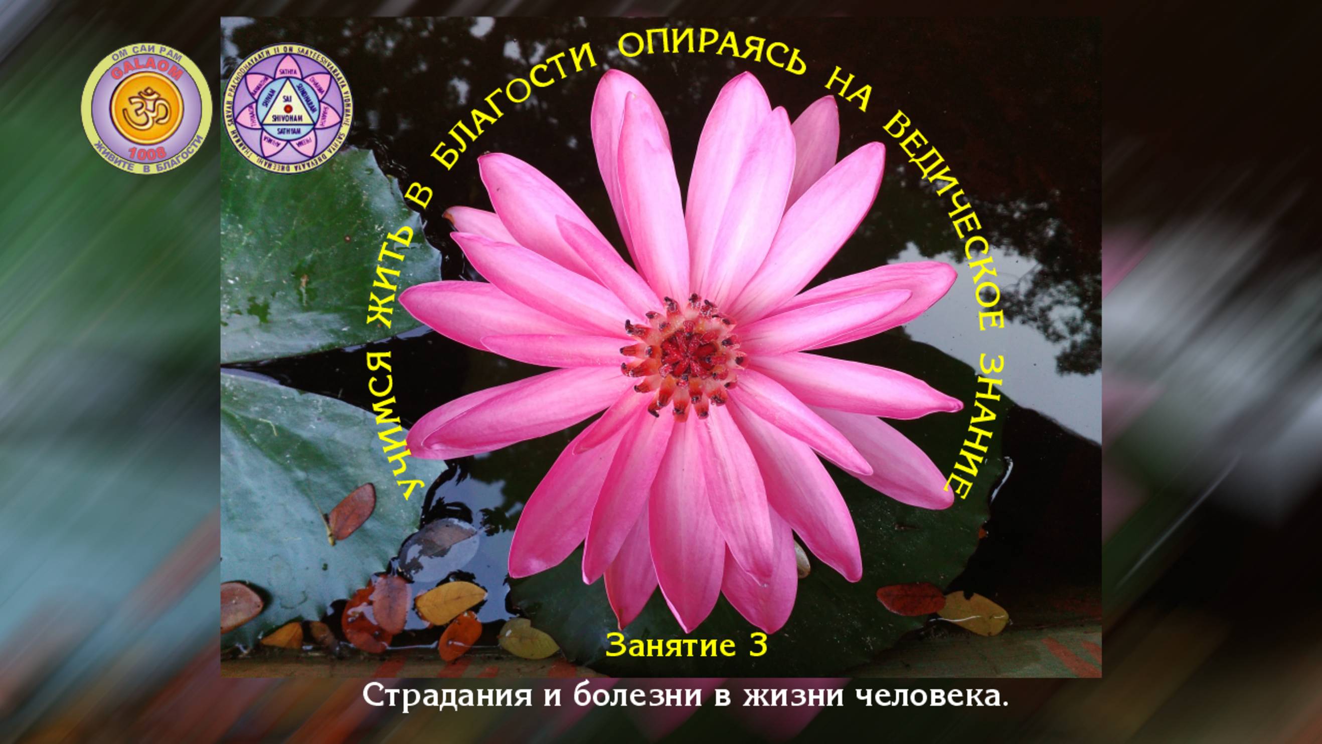 Учимся жить в Благости. Занятие 3. Страдания и болезни в жизни человека.