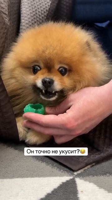 Радиация зашкаливает 😂