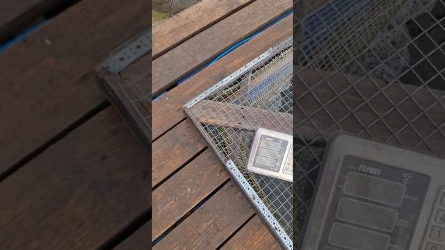 1000564947.mp4