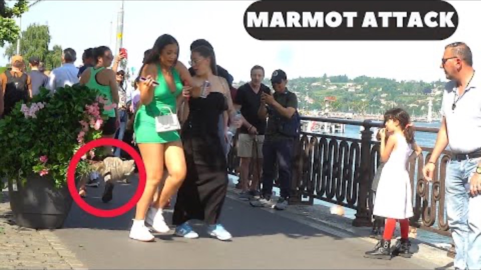 Bushman Madness Takes Hold Of Geneva_ BUSHMAN PRANK