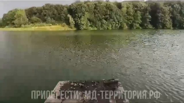 Поисковые грабли 