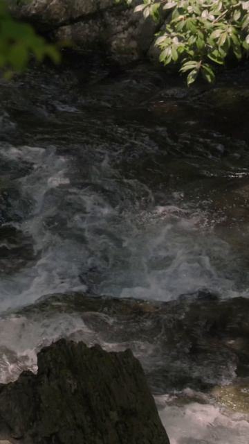 Отпуск на Сикоку. День 8: Горные районы. Водопад Никобучи. 14 мая 2025 г.