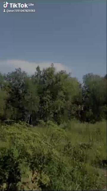 2545.mp4 Елена Дружиненко Воркута