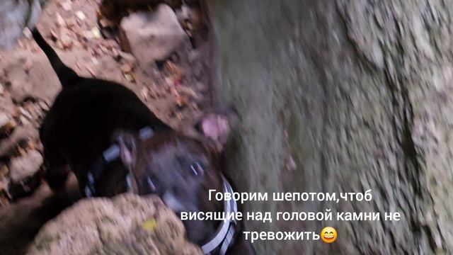 Алимова Балка, ущелье Алима. Прогулка.