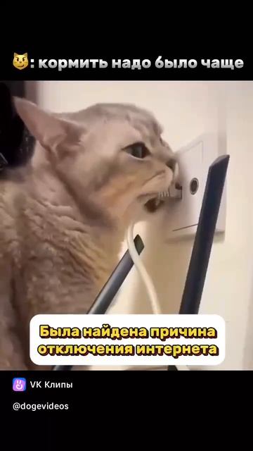 Вот и всё