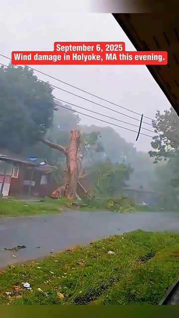 Wind_damage_in_Holyoke,_MA_this_evening_#weather_#epicweather_#tornado