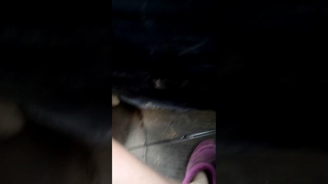 Экстремальный обзор москвича