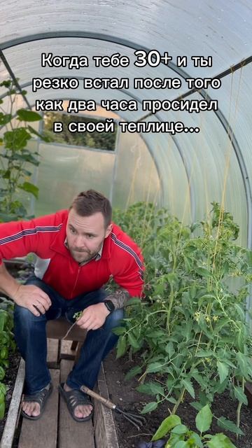 Когда долго просидел в своей теплице