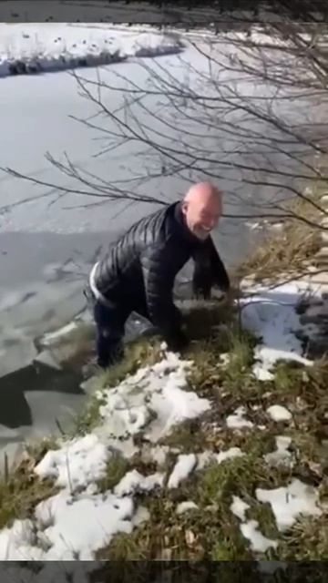 Прикольные видео