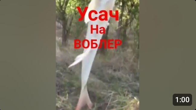 УСАЧ НА ВОБЛЕР! РЫБАЛКА НА РЕКЕ ЕГОРЛЫК!