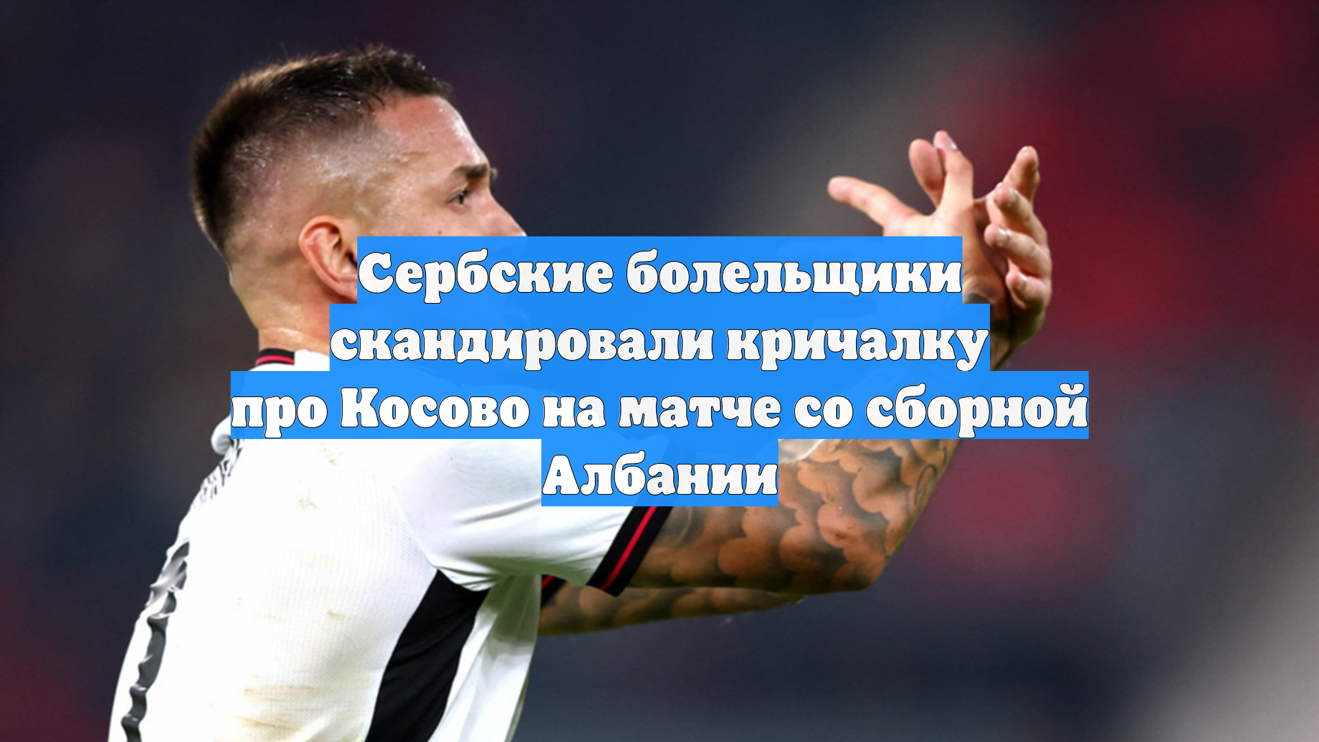 Сербские болельщики скандировали кричалку про Косово на матче со сборной Албании