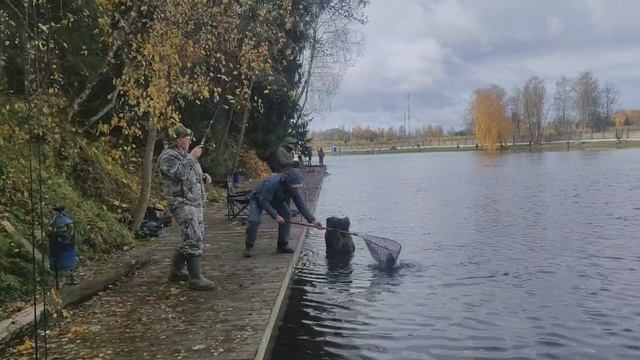 форель