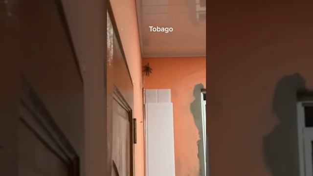 В этом видео всё ужасно🤣🤣🤣💔