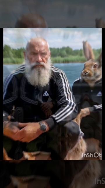 берегите зайцев