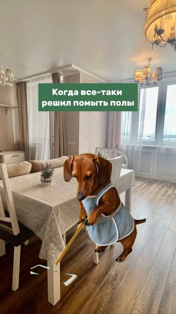 У нас есть еще и услуги уборки апартаментов! казань снятьквартиру путешествия апартаменты мем