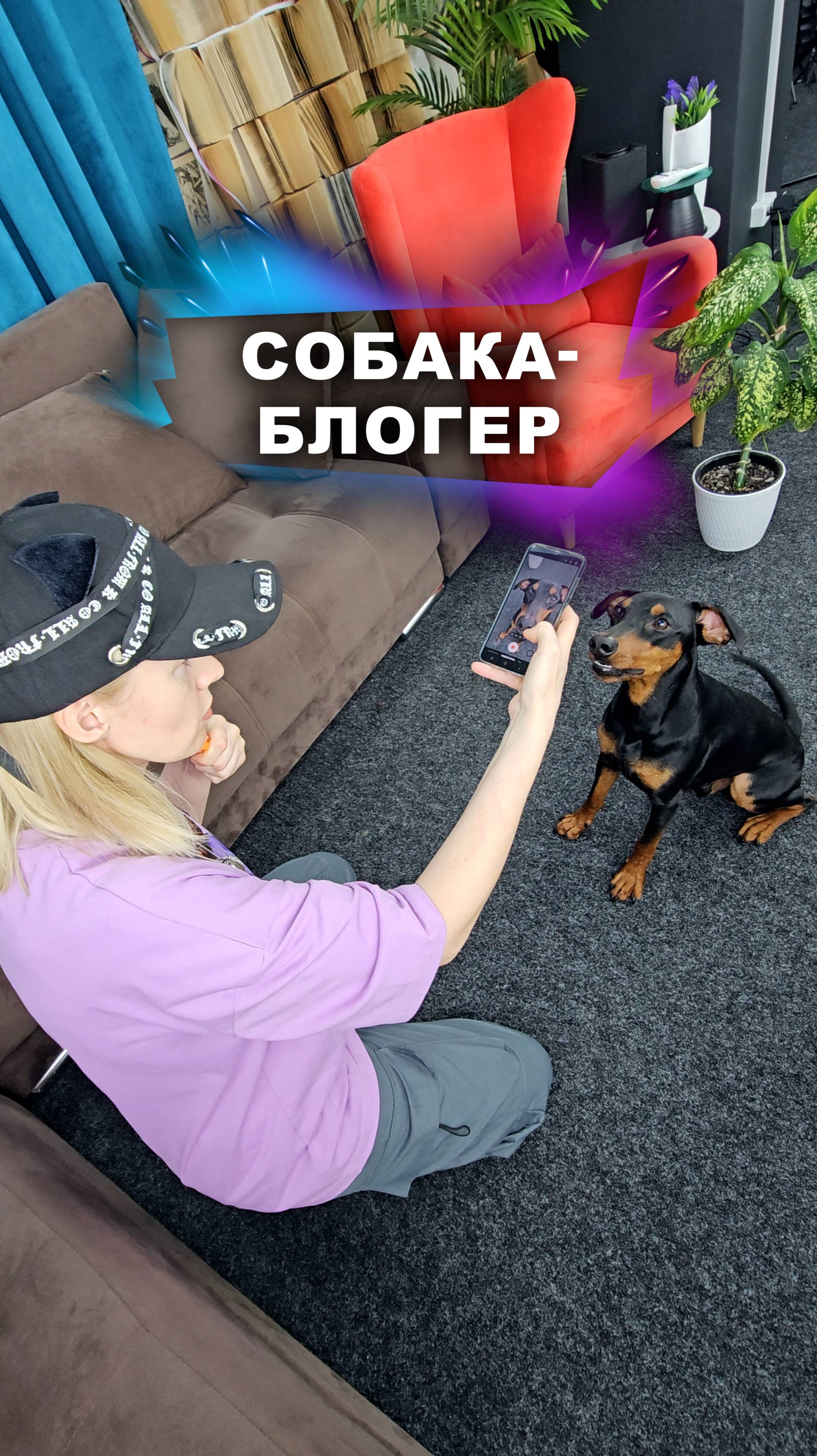 Сделай пёселя популярным! животные