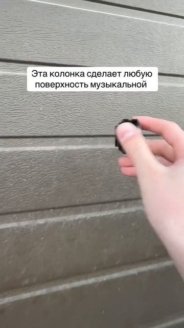 Видео из «ТикТока»